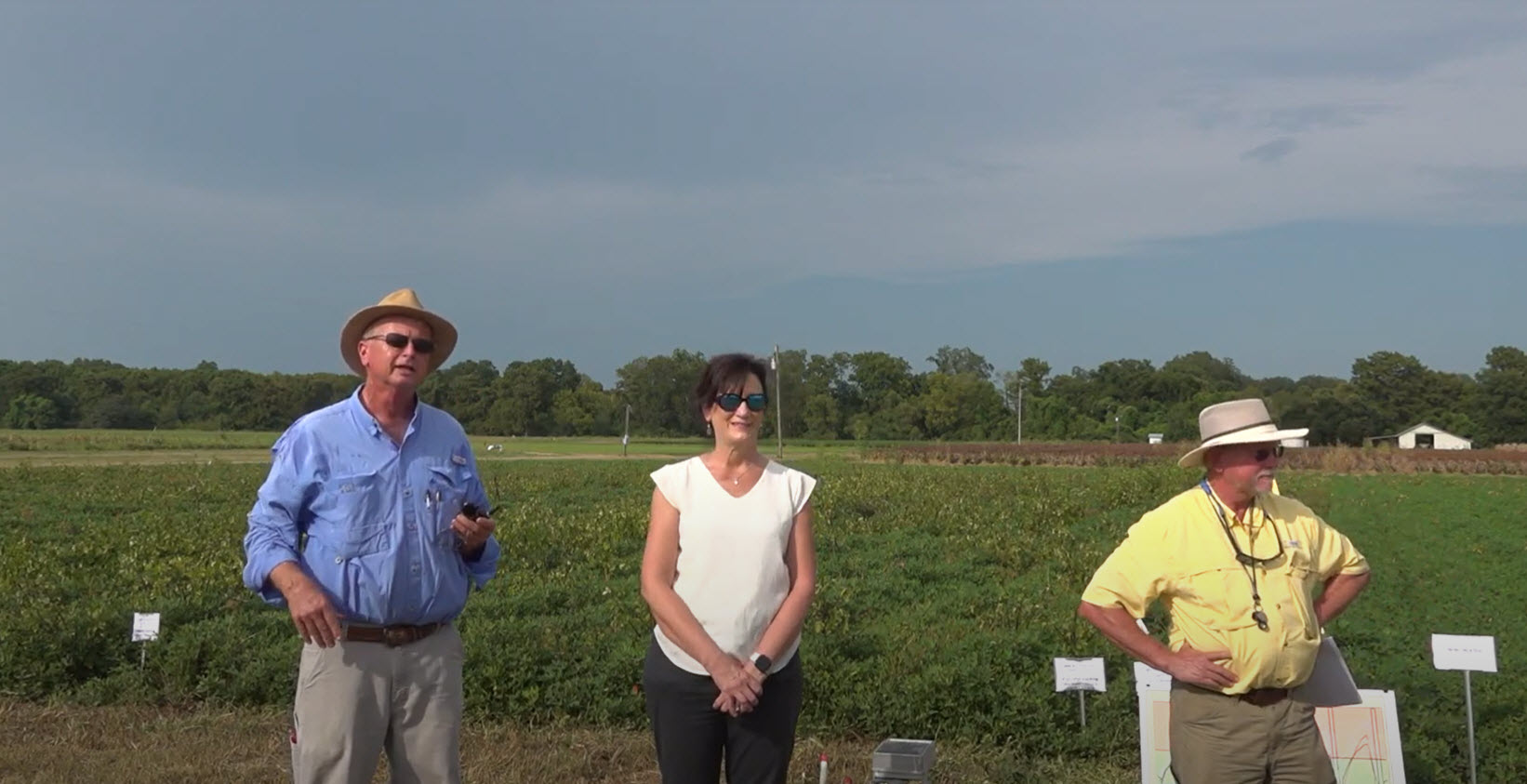 Peanut Field Day - Northeast Research Station